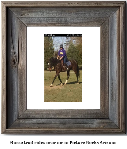 horse trail rides near me in Picture Rocks, Arizona